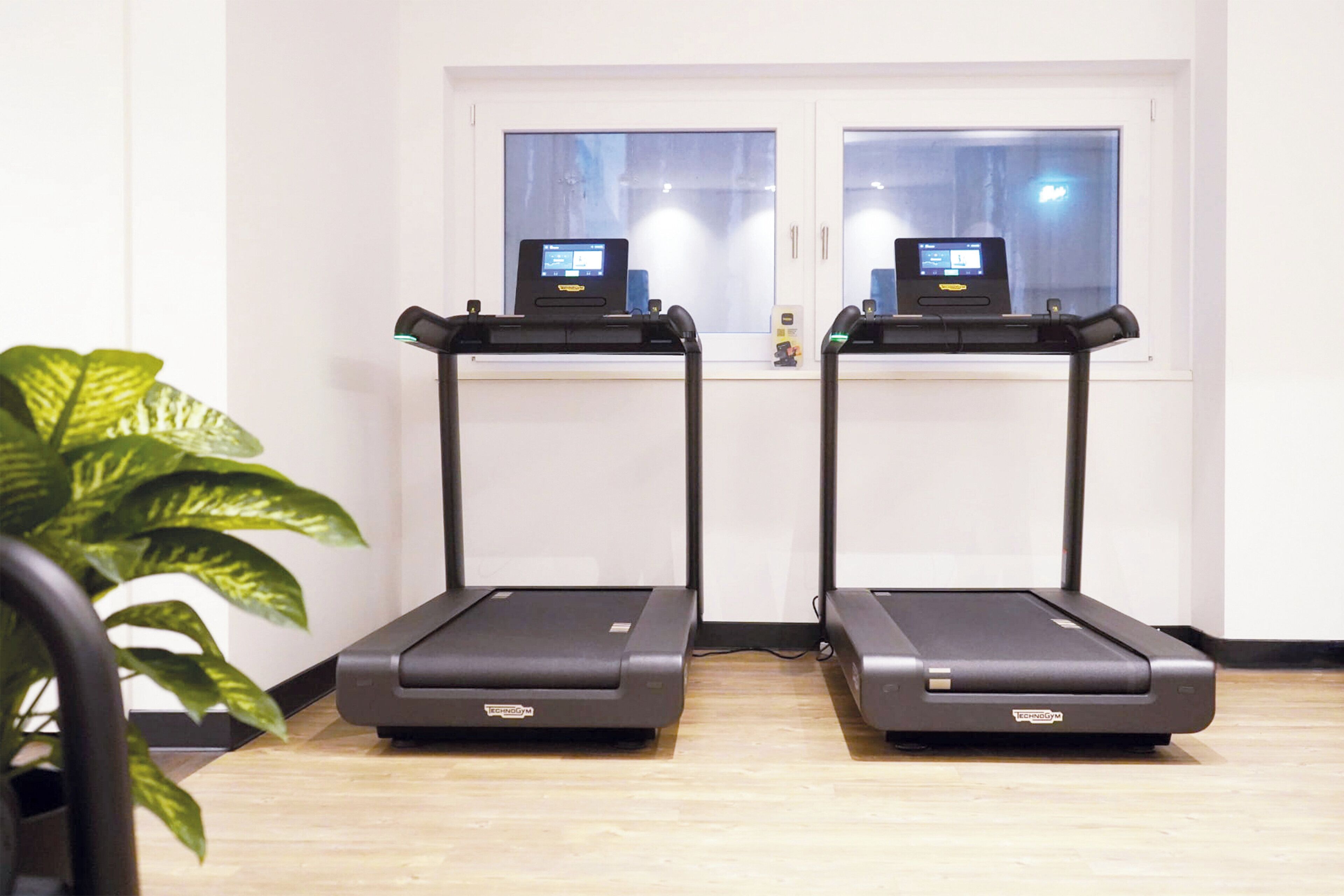 Two treadmills side by side with digital displays, a potted plant, and a window with blinds.