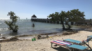 A beach with lounge chairs, a pier, and a thatched-roof structure. - Keys Deal w/Cafe & Pool Bar! Up to 20% Off Oceanfront 2/2 with Private Beach (Tavernier)