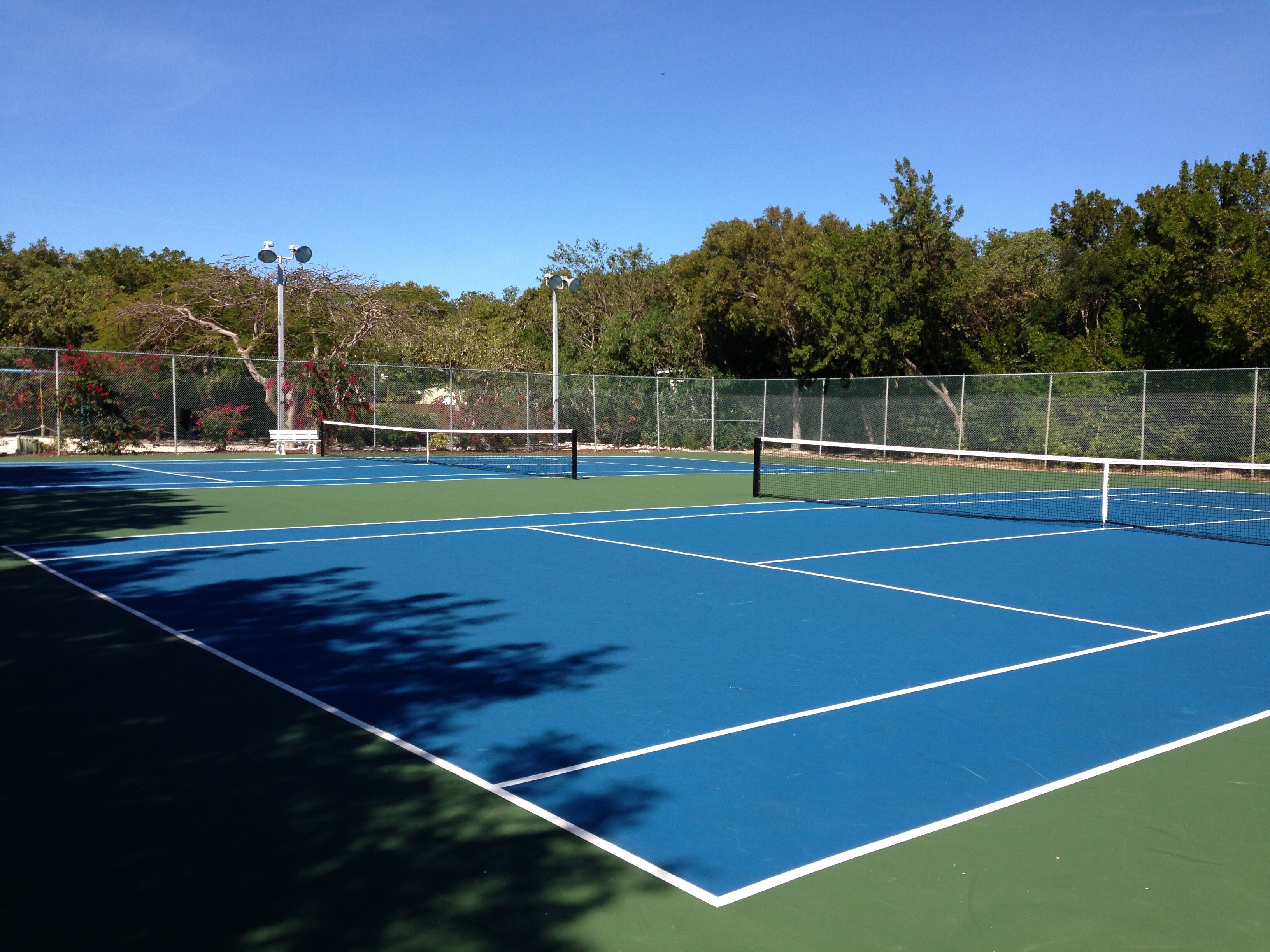 A tennis court with a net, surrounded by a fence and trees.
