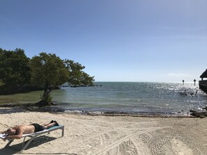 Relax on the beach under a shaded tree, with a sunbed and the ocean's gentle waves nearby.