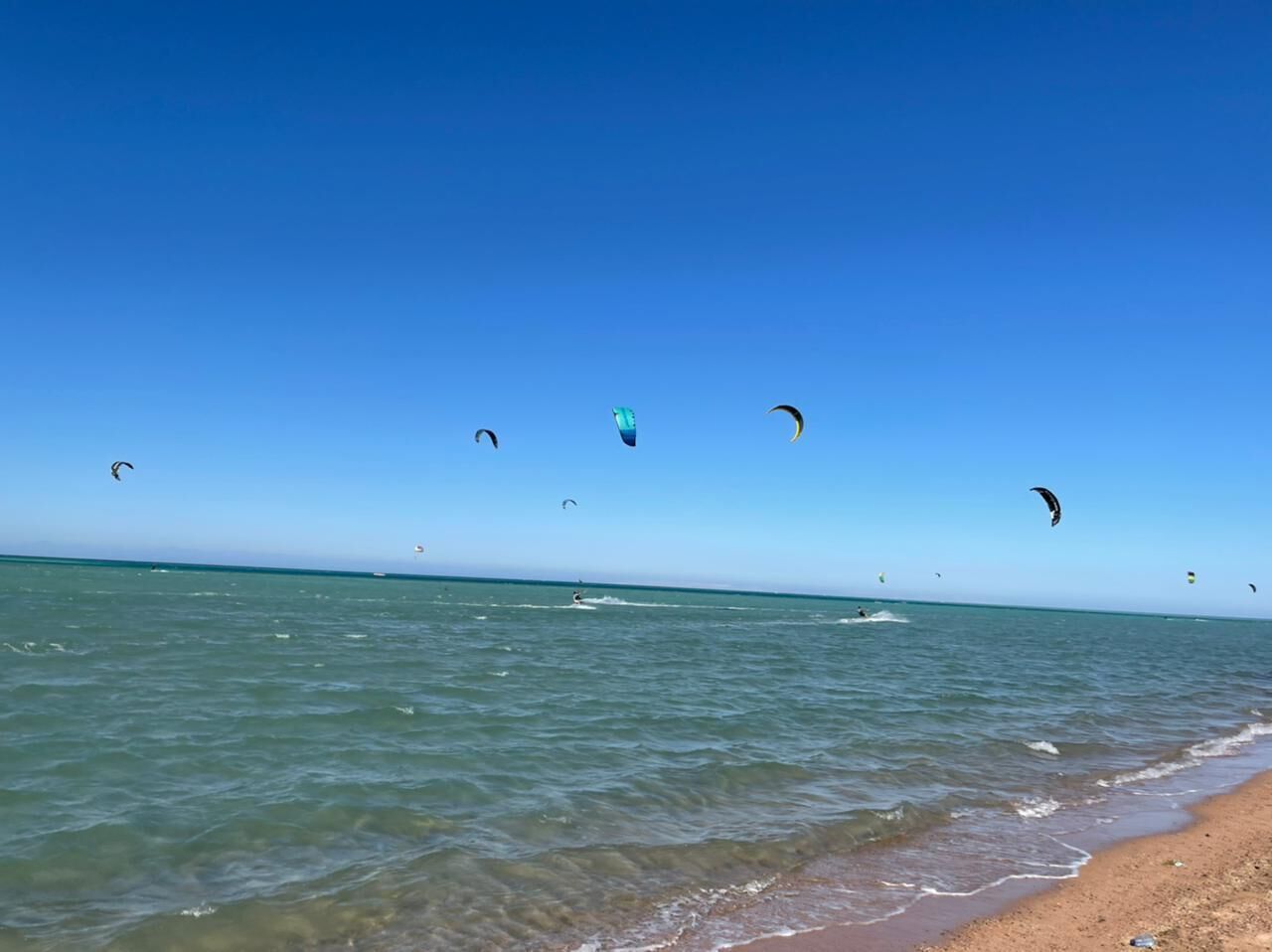 A beach with clear skies and multiple kites flying over the water.