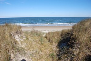 On the beach