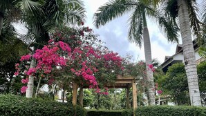 Een pad van stenen loopt naar een houten pergola met roze bloemen, omringd door palmbomen en een stenen muur.