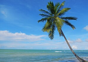Serviettes de plage