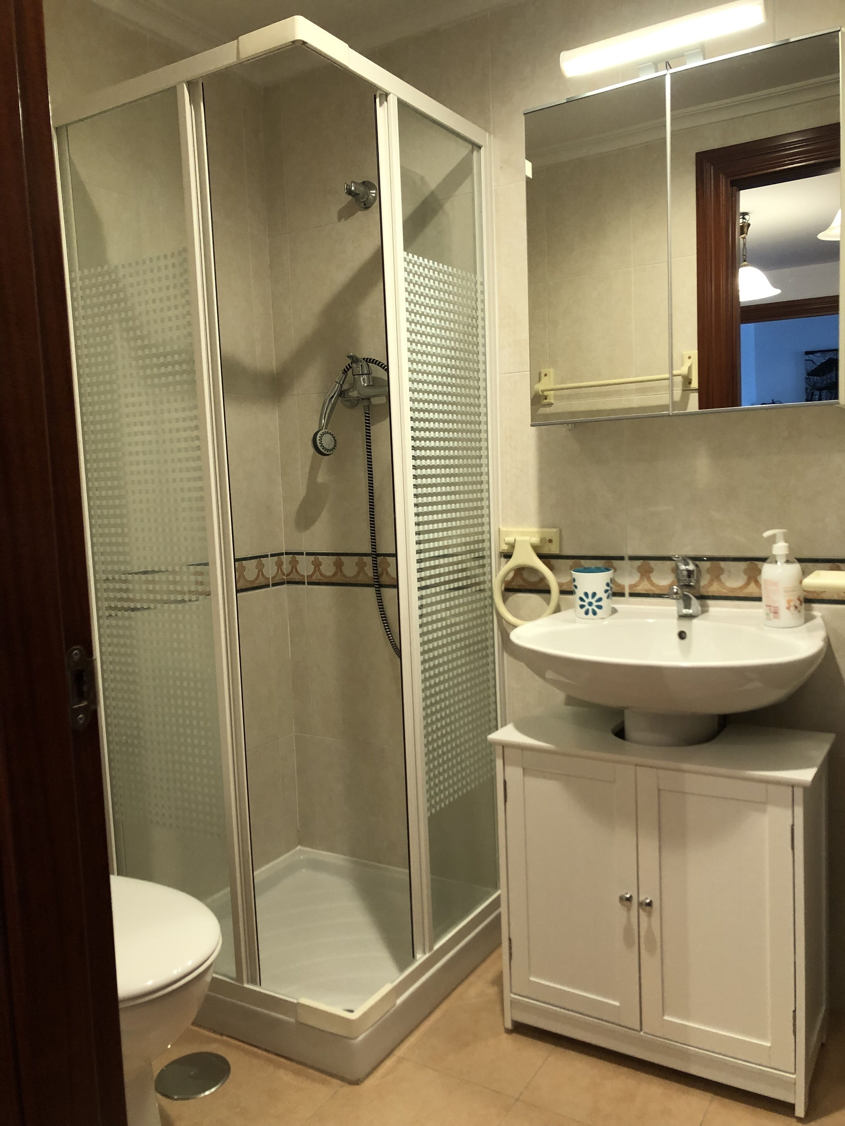 Bathtub, hair dryer, bidet, towels