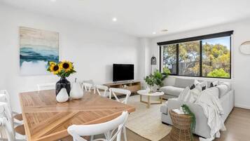 TV, Netflix, streaming services