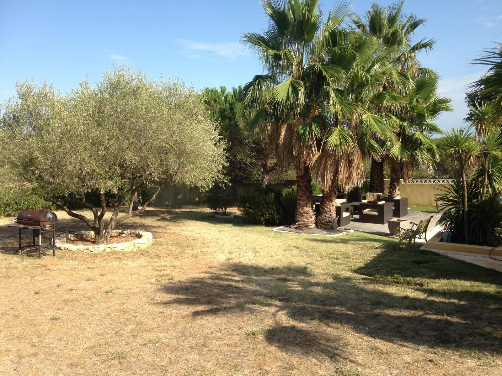 A backyard with a barbecue grill, palm trees, and a stone wall.