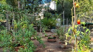 Ein Garten mit verschiedenen Pflanzen und einem Holzzaun.