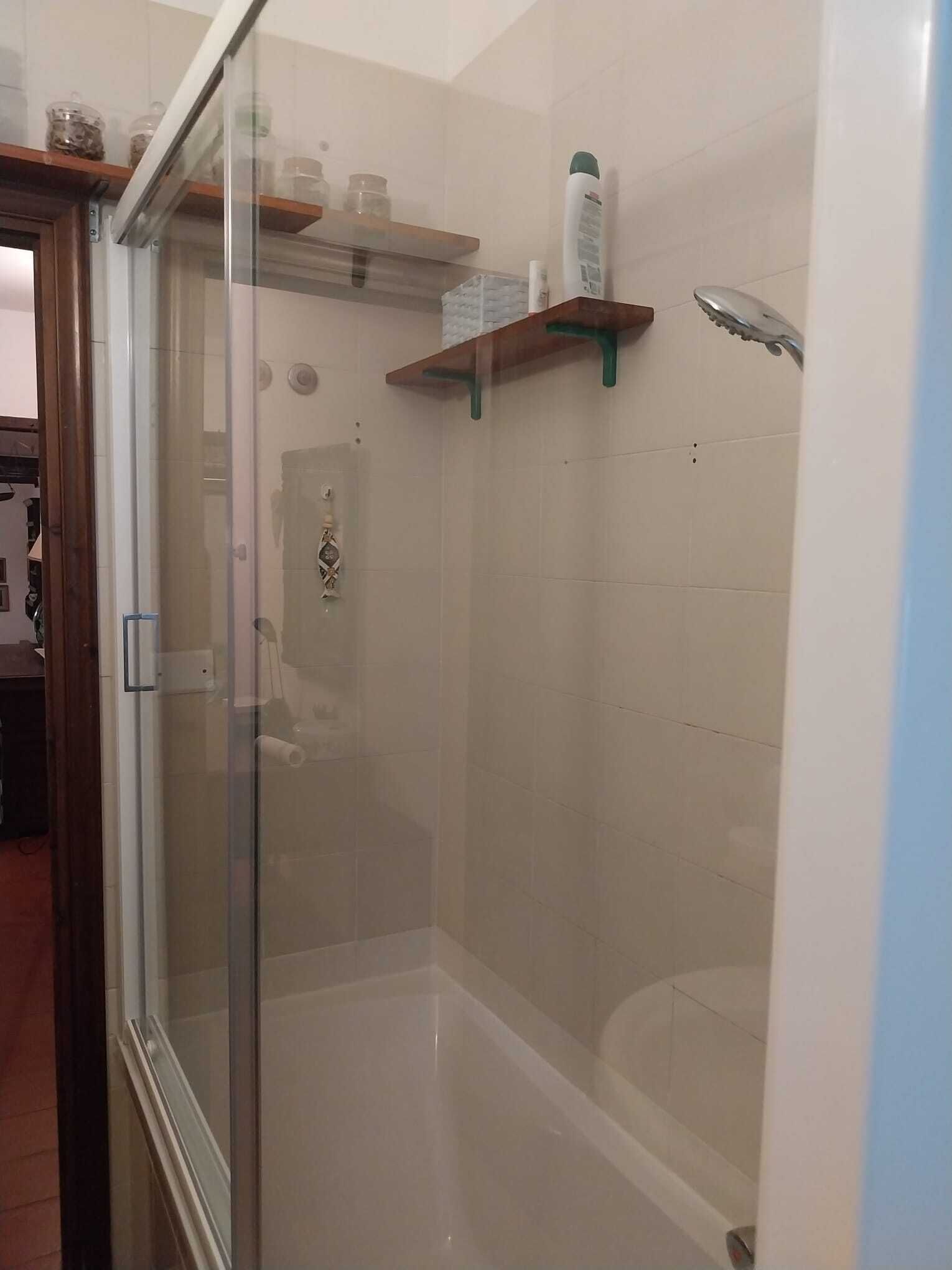 A glass-enclosed shower area with a toilet and a shelf above it.