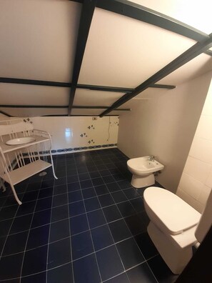 Combined shower/bathtub, hair dryer, bidet, towels