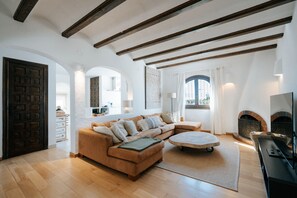 TV connectée, cheminée, livres, chaßne hi-fi