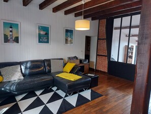 TV, fireplace, books, music library