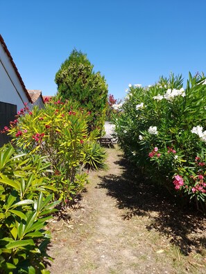Jardines del alojamiento