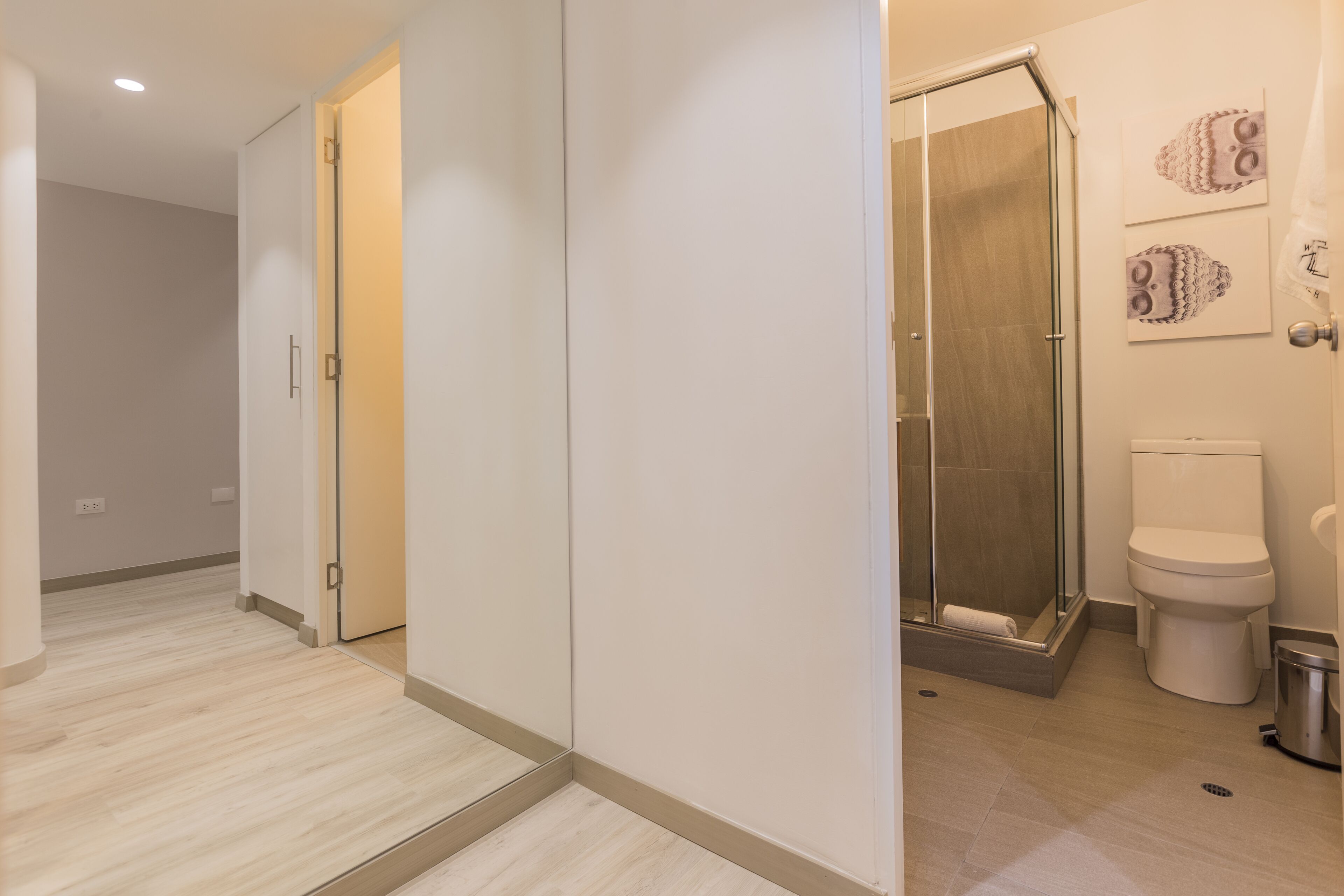 A modern bathroom with a shower, toilet, and a walk-in closet.