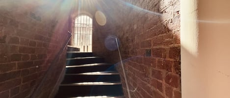 Apartment | Interior