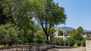 A house with a stone wall and a paved path leading to it.