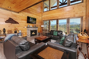 Smart TV, fireplace, video games, books