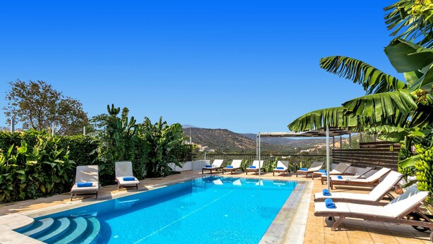 Piscina retangular com água azul cristalina, rodeada por espreguiçadeiras e um pergolado com folhas de bananeira.