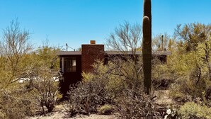A desert landscape with a tall cactus and sparse vegetation.