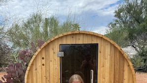 A wooden structure with a door, a metal container, and a cactus plant.