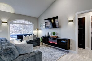 Smart TV, chimenea, reproductor de DVD y libros 