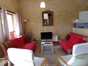 TV, DVD player, table tennis, books