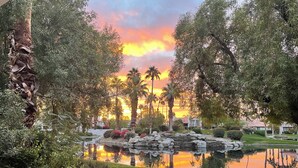 Een vredige tuin met een vijver, palmbomen en uitzicht op een zonsondergang.