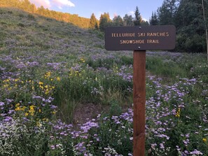 المنطقة المحيطة بالمنشأة