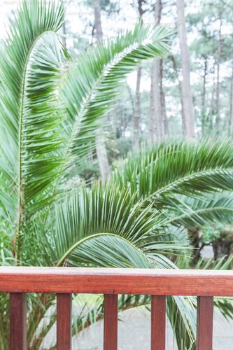 Beautiful 4-bedroom villa on Hossegor lake 1.2 km from lake and town center