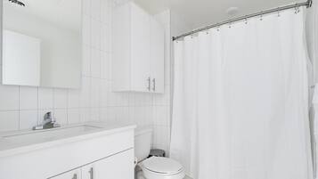 Hair dryer, towels, soap