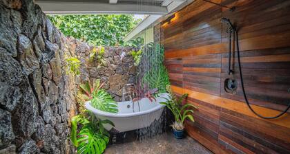 Walk to Hanalei Bay&Town. Waterfalls&Mountain Views. A/C, FREE Surf,Sup,Bike.etc