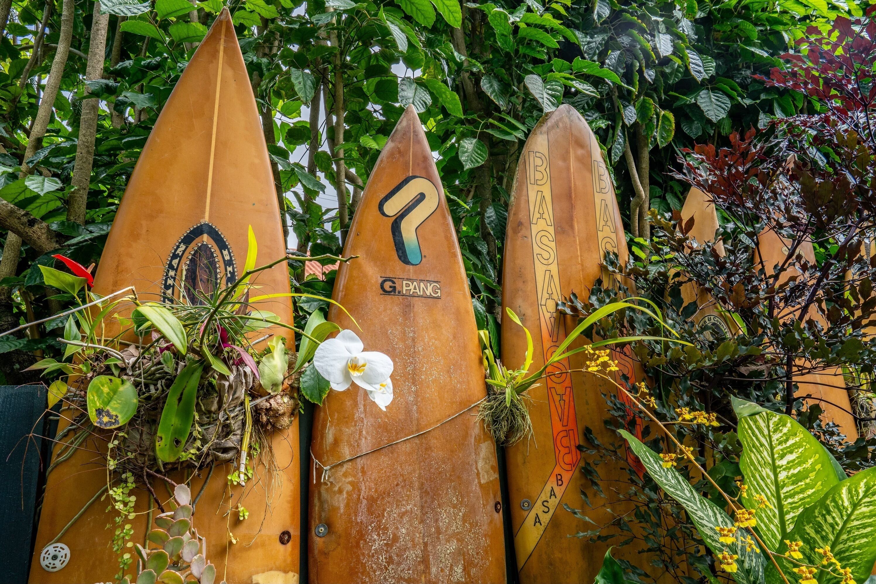 Trois planches de surf appuyées contre un mur, chacune ayant un design et un texte uniques.