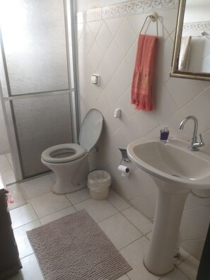 Dusche, Haartrockner, Seife, Shampoo