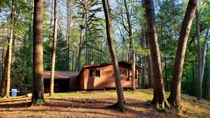 Un chalet rustique entouré de grands arbres, au cœur d’une forêt.