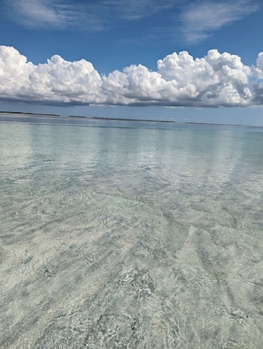 Plage à proximité, chaises longues, serviettes de plage