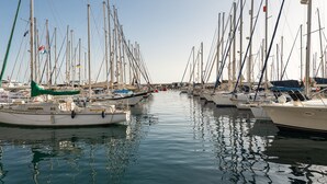 A marina with multiple boats docked in calm waters.
