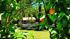 A rustic wooden cabin surrounded by lush greenery and fruit trees. - Sitio Recanto Feliz (Gramado)