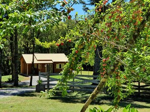 المنطقة المحيطة بالمنشأة