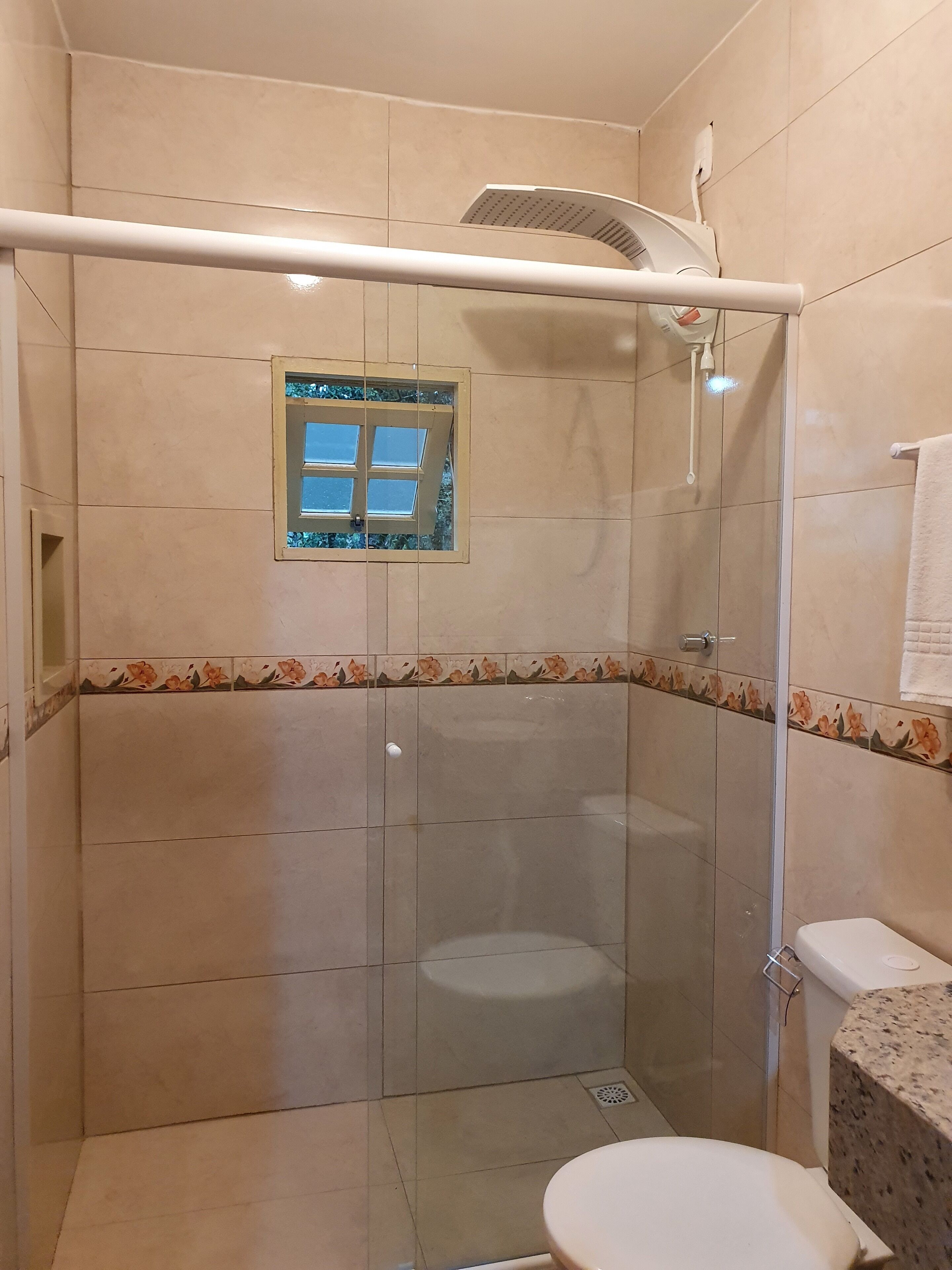 A shower area with a glass door, a window, and a toilet.