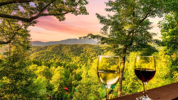 Deux verres à vin sont posés sur une étagère en bois, offrant une vue sur une forêt et des montagnes.