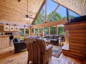Flat-screen TV, fireplace