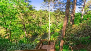 A wooden staircase leading into a forested area with a river. - A Little Stoney River - Cartecay River in Ellijay (Ellijay)