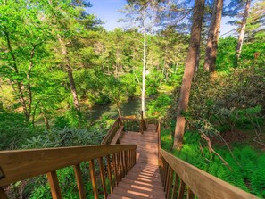 Property grounds - A Little Stoney River - Cartecay River in Ellijay (Ellijay)