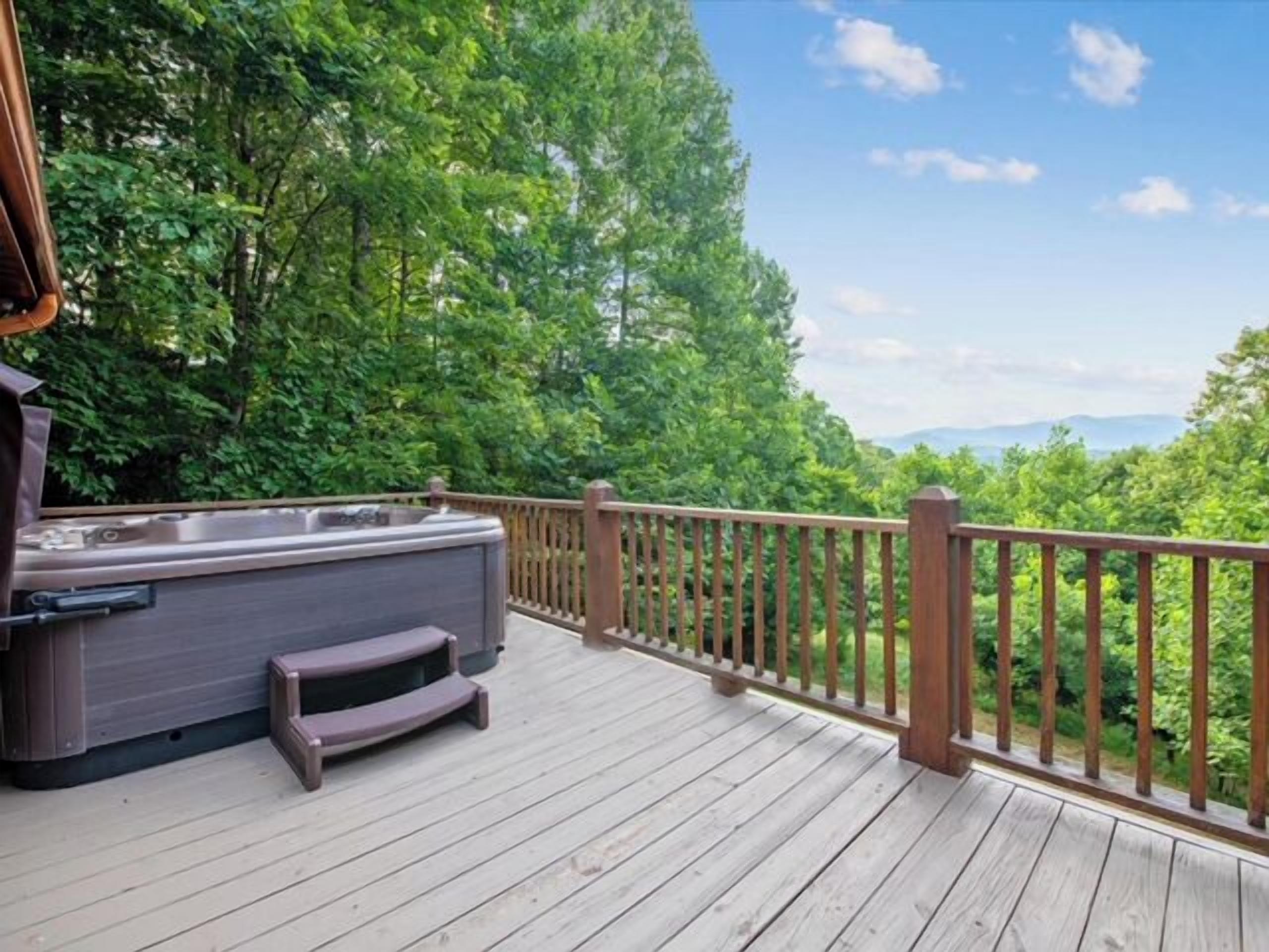 License 2 Chill - Mineral Bluff, GA