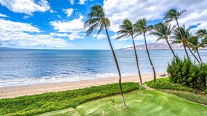 Una playa con palmeras y vista al océano.