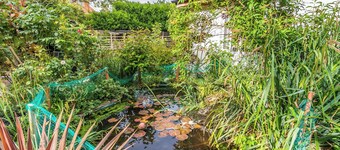 The Little House in Hull