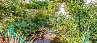 The Little House in Hull