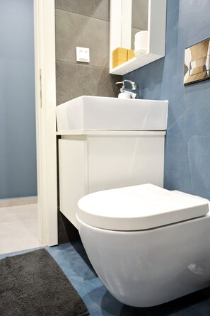 Suihkun ja ammeen yhdistelmä, hiustenkuivaaja, pyyhkeet, saippua