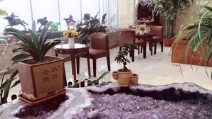 Ein Zimmer mit Sitzecke, Topfpflanzen und einer Zierwasseranlage.