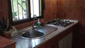 A kitchen with a stainless steel sink, a gas stove, and a window with a view of greenery. - Villa Aurora El Gastor by Ruralidays (Cádiz)
